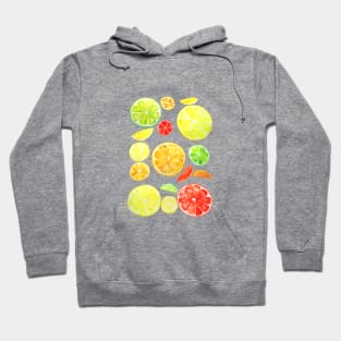 colorful citrus slices watercolor Hoodie